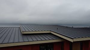 Best Solar Panel Roofing Installation  in Littlefield, TX